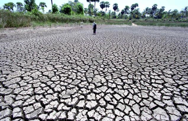 telanganaseeksrs2514crfordroughtrelief